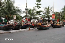 Nhiều địa phương tạm dừng du lịch biển, “né” cơn bão số 5