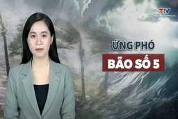 Bản tin Thời sự đặc biệt bão số 5 cập nhật 10h ngày 26/8/2025