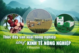 [E-Magazine] - Thúc đẩy sản xuất nông nghiệp sang kinh tế nông nghiệp