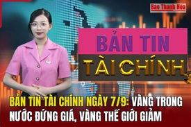 Bản tin Tài chính 7/9: Vàng trong nước đứng giá, vàng thế giới giảm