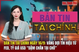 Bản tin Tài chính 16/9: Vàng đợi tín hiệu từ Fed, tỷ giá USD “dậm chân tại chỗ”