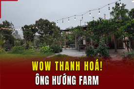 [WOW! THANH HÓA] ÔNG HƯỚNG FARM