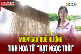 [REVIEW OCOP] Miến gạo Quê hương – Tinh hoa từ “hạt ngọc trời”