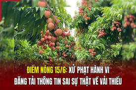 Điểm nóng 15/6: “Giải oan” cho vải thiều