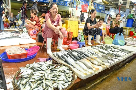 Chợ hải sản đồng hành cùng du lịch ở thành phố biển Sầm Sơn 