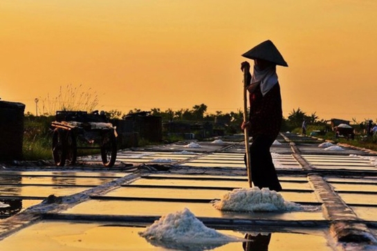 Thương về đồng muối