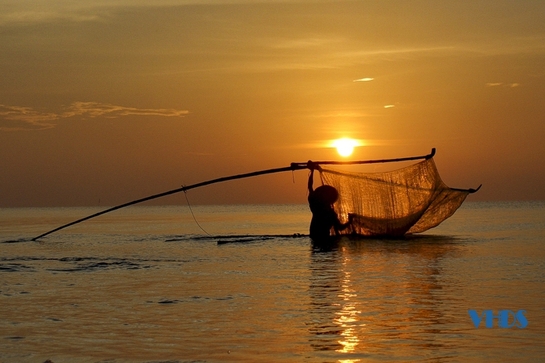 Ngư dân đi cà kheo “săn lộc biển”