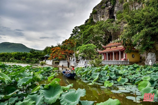 Trách nhiệm bảo tồn