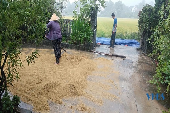 Từ trong mưa giông...