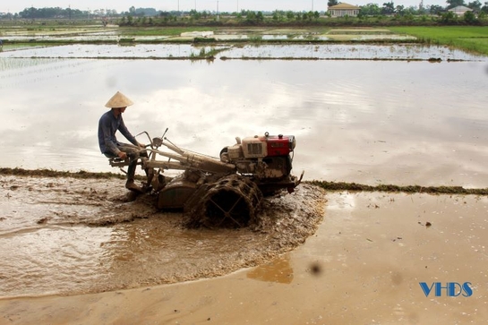 Chuẩn bị các điều kiện gieo cấy lúa đông xuân