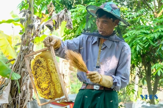 Bệnh binh làm kinh tế giỏi