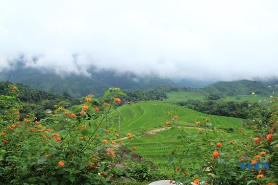 Trải nghiệm bản Đôn