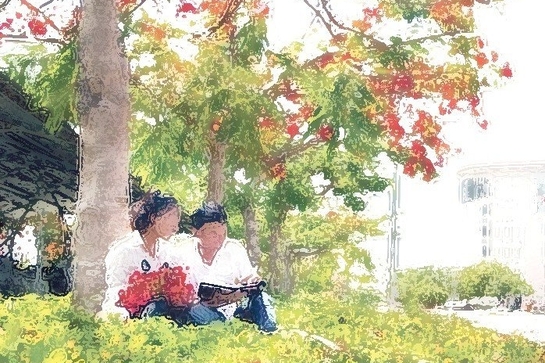 Nắng sân trường