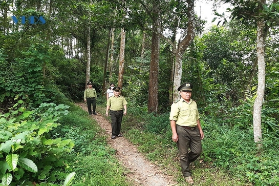 Tăng cường các biện pháp bảo vệ rừng, phòng cháy, chữa cháy rừng mùa nắng nóng ở Như Thanh