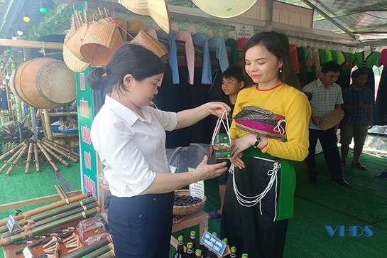 Phát triển du lịch gắn với bảo tồn giá trị văn hóa