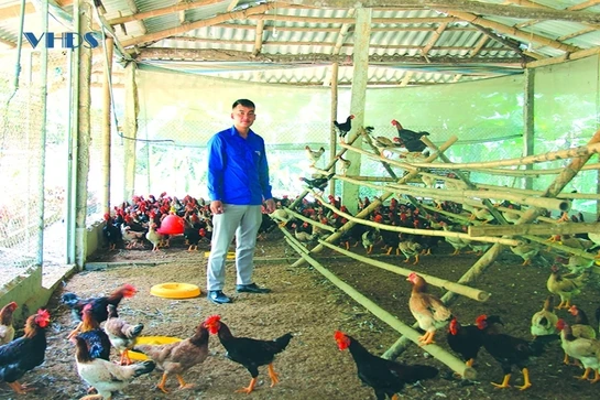 Khởi nghiệp vùng đất khó: “Tứ bề” khó