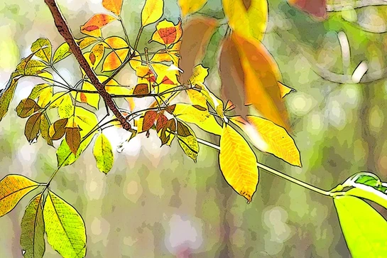 Mùa yêu thương chạm ngõ