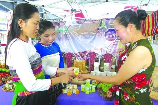 Thảo dược sạch từ tự nhiên: Tinh dầu hương nhu trắng HERBAL FARM