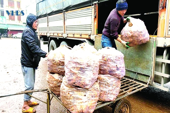 Nhọc nhằn mưu sinh ngày cận tết