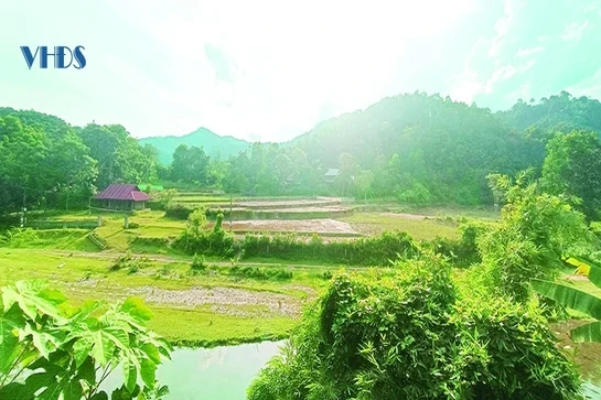 Về thôn Tú Ạc