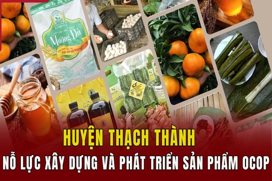 Huyện Thạch Thành nỗ lực xây dựng và phát triển sản phẩm OCOP