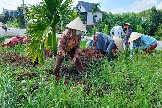 Như Thanh: Phát huy vai trò của hội nông dân trong xây dựng nông thôn mới