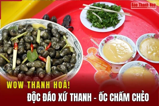 [WOW! THANH HÓA] Độc đáo xứ Thanh - Ốc chấm chẻo