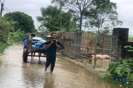 Dân quân kéo xe trâu, dùng thuyền đưa hàng cứu trợ đến người dân vùng lũ Thạch Thành