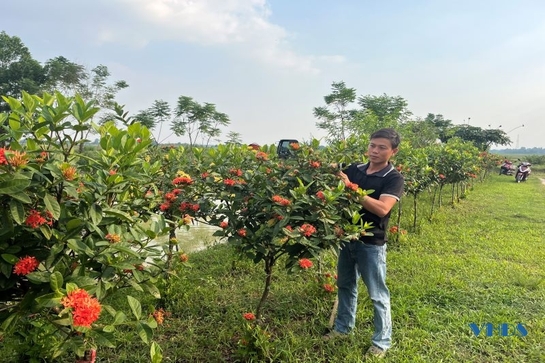 Gương thanh niên làm kinh tế giỏi ở xã Xuân Phong