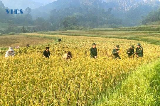 Bình yên cho những bản làng: Góp phần xây dựng bản, làng ấm no