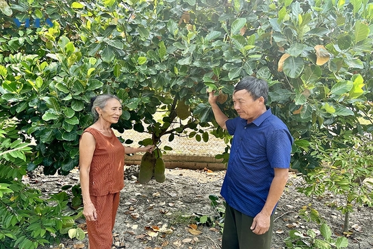 Chị Cảo làm kinh tế giỏi