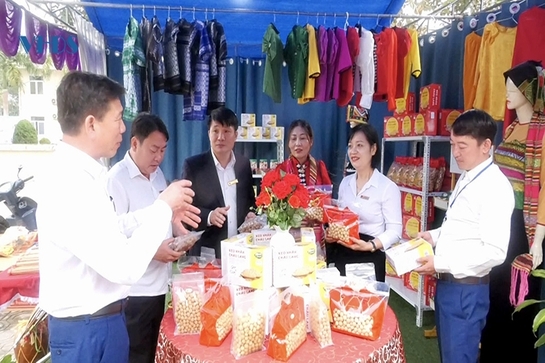 Tài sản trí tuệ - nguồn lực quan trọng để phát triển kinh tế