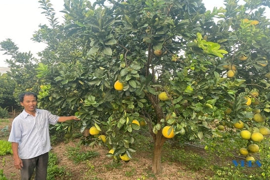 Trưởng thôn được người dân tin quý