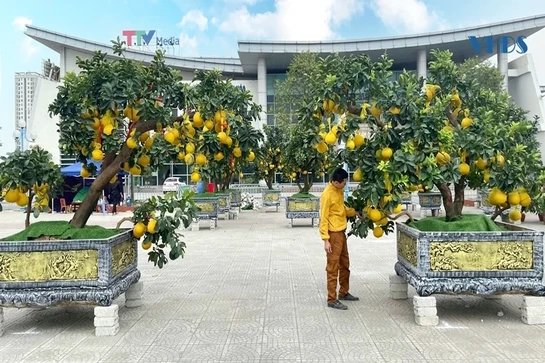 Sắc xuân tràn ngập phố phường