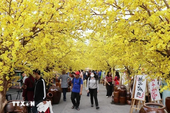 Khai mạc Lễ hội Tết Việt Ất Tỵ 2025 tại Thành phố Hồ Chí Minh
