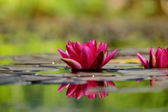Bảo dưỡng tâm trí