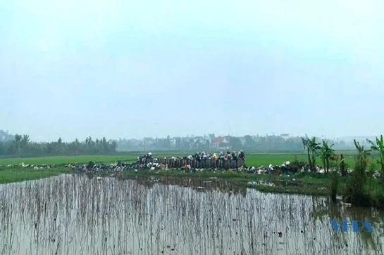 Bãi rác nơi đồng ruộng