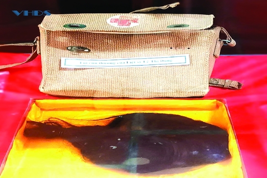 Xanh mãi với thời gian