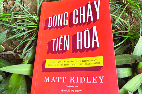 Tiến hóa diễn ra xung quanh chúng ta