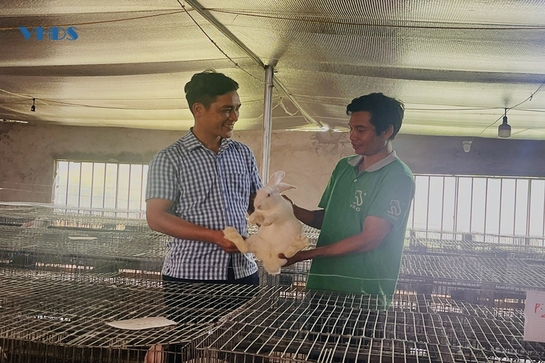 Nỗ lực giảm nghèo ở Thượng Ninh