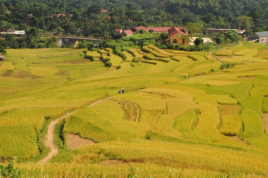Tự tình tháng Sáu