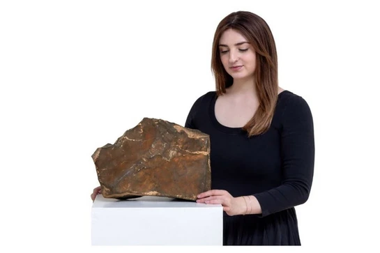 Đấu giá khối đá Sao Hỏa lớn nhất từng được tìm thấy trên Trái Đất
