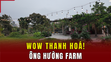 [WOW! THANH HÓA] ÔNG HƯỚNG FARM