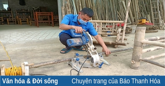 Chàng thanh niên trẻ với niềm đam mê tre, luồng