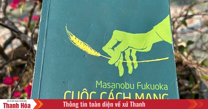 Cuộc cách mạng một cọng rơm