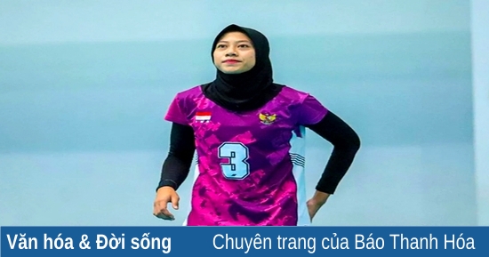 Bóng Chuyền Bãi Biển Việt Nam: Sức Hấp Dẫn Từ Những Trận Đấu Kịch Tính